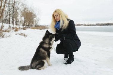 Siberian dış yapraklar malamute köpekler dışında ile oynayan sarışın kızla kış manzarası.
