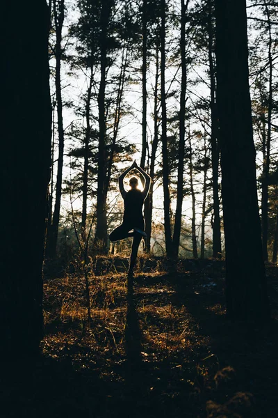 Sportif kadın Yoga nefes egzersizleri günbatımında yapıyor..
