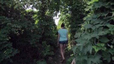 Kadın yağmur ormanları ormanda doğa yürüyüşü hiking. Trek yağmur ormanı Nehri yakınında yürüyüş genç kadın uzun yürüyüşe çıkan kimse arka arkadan görünüm.