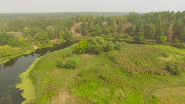 Tiro aéreo de rio em paisagem florestal durante o verão — Vídeo de Stock