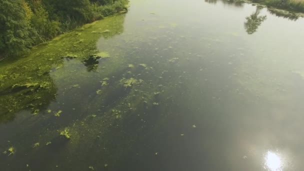 Воздушный снимок болота на закате. Летний беспилотник — стоковое видео