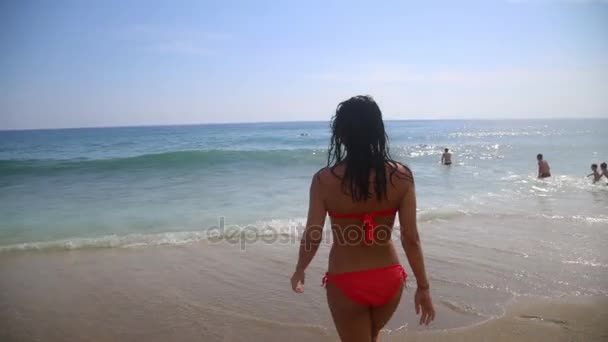 Chica latina caminando en el mar — Vídeos de Stock