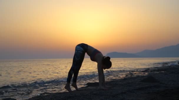 Silhouette ung kvinna utövar yoga på stranden vid solnedgången. — Stockvideo