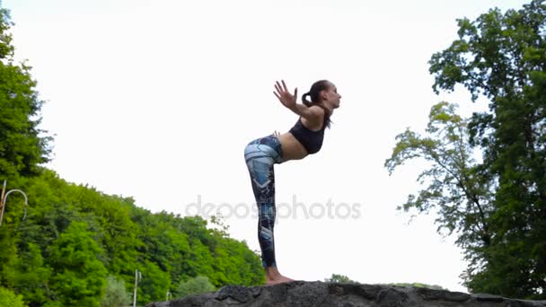 Jeune femme faisant de l'exercice de yoga dans un parc vert — Video