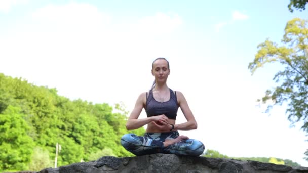 Jeune femme faisant de l'exercice de yoga dans un parc vert — Video