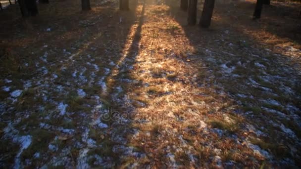 Sportig kvinna gör yoga andningsövningar vid solnedgången. — Stockvideo