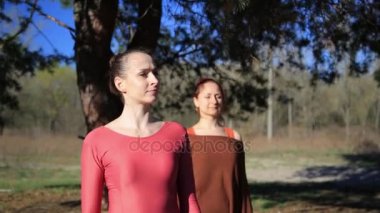Ormandaki savaşçı poz batımında Yoga fitness yapıyor çifti egzersiz.
