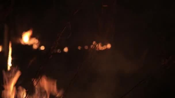 La forêt brûle hors de contrôle la nuit. Brûlage de la flamme sur l'herbe à la campagne . — Video