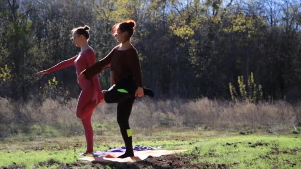 Paar vrouwen uitoefening van yoga fitness sport in forest park. — Stockvideo