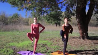 Kadınlar yoga fitness spor orman Park egzersiz çifti.
