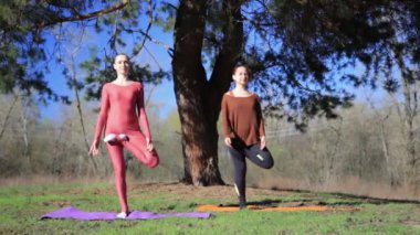 İki Kişilik Çift yoga namaste yapıyor gün batımında sahilde poz