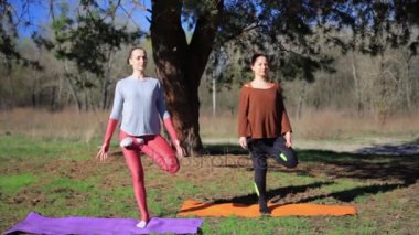 İki Kişilik Çift yoga namaste yapıyor gün batımında sahilde poz