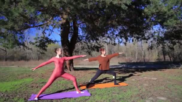 Paire d'exercices de yoga posture guerrière dans la forêt au coucher du soleil . — Video