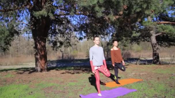 Dwóch osób robi para namaste yoga stwarzają na plaży o zachodzie słońca — Wideo stockowe
