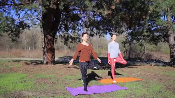 Dvě osoby vykonávající pár jóga namaste představují na pláži při západu slunce — Stock video