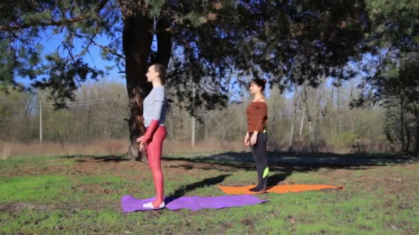 Par kvinnor utövar yoga fitness sport i forest park. — Stockvideo