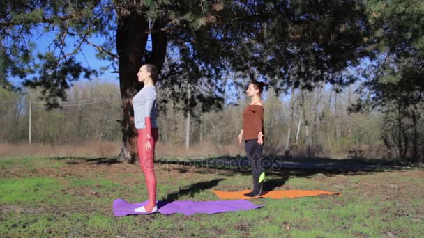 Twee personen doen paar yoga namaste vormen op het strand bij zonsondergang — Stockvideo