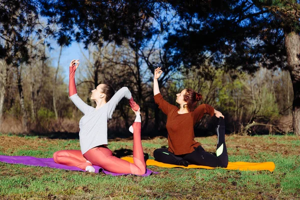 Pair of women exercising yoga fitness sports in forest park.