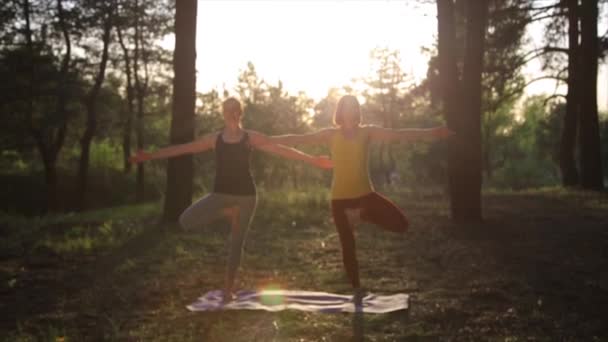 Zwei meditierende Mädchen, die Yoga-Fitness-Übungen bei Sonnenuntergang im Wald praktizieren. Steadicam in Zeitlupe geschossen. — Stockvideo