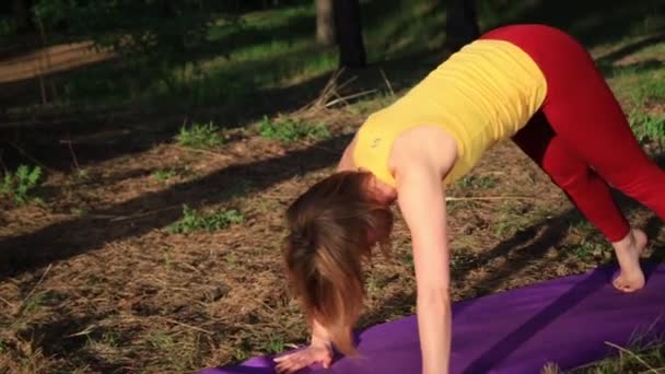 Дівчина практикує йогу, що тягнеться на заході сонця в лісі. Повільний рух — стокове відео
