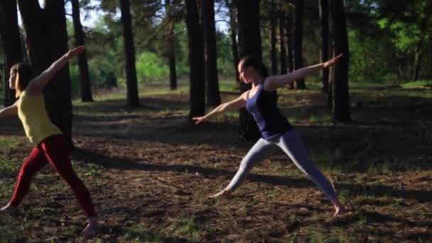 Dvě dívky meditaci praktikující jógu fitness cvičení při západu slunce v lese. Steadicam zpomalený záběr. — Stock video