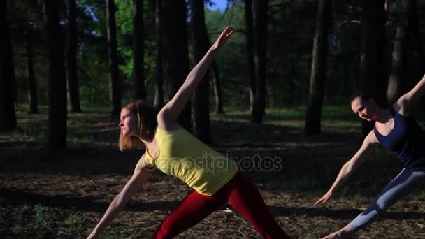 Twee meisjes mediteren praktizerende yoga fitness oefening bij zonsondergang in het bos. Slow motion steadicam schot. — Stockvideo