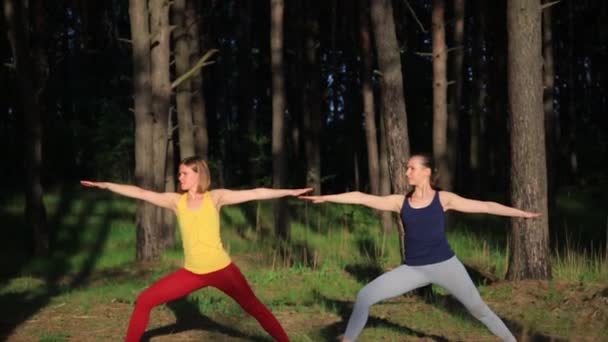 Twee meisjes mediteren praktizerende yoga fitness oefening bij zonsondergang in het bos. Warrior pose — Stockvideo