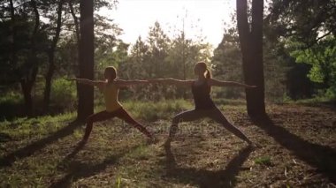 İki kızı pratik yoga meditasyon günbatımında ormanda egzersiz. Ağır çekim steadicam vurdu.