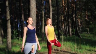 İki kızı pratik yoga meditasyon günbatımında ormanda egzersiz. Ağır çekim steadicam vurdu.