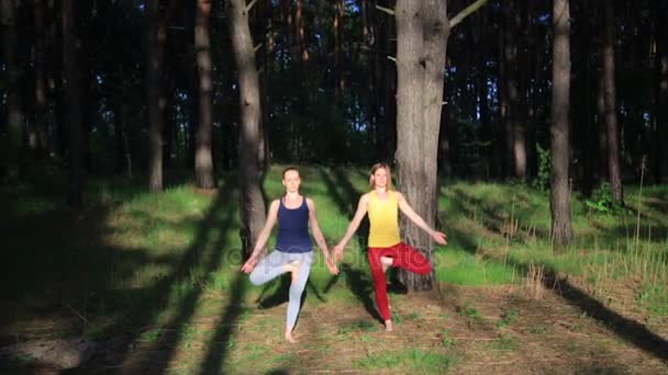 Duas meninas meditando praticando ioga exercício de fitness ao pôr do sol na floresta. Movimento lento steadicam tiro . — Vídeo de Stock