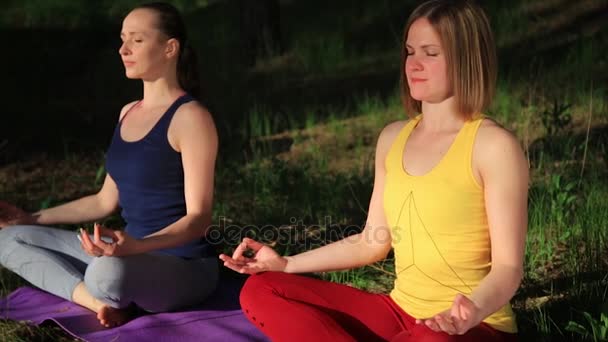 Dos chicas meditando practicando yoga fitness al atardecer en el bosque. Disparo de cámara lenta steadicam . — Vídeo de stock