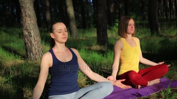 Dos chicas meditando practicando yoga fitness al atardecer en el bosque. Disparo de cámara lenta steadicam . — Vídeos de Stock