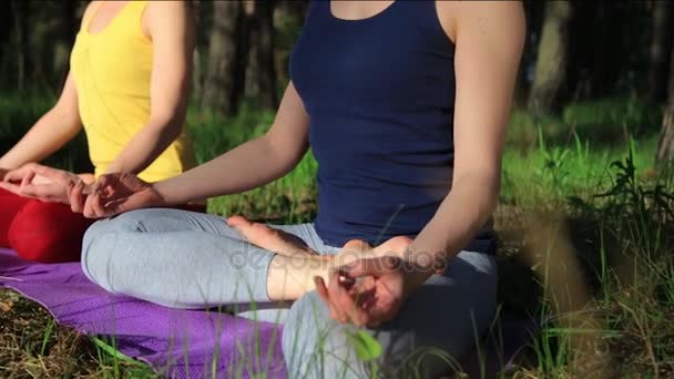 Dos chicas meditando practicando yoga fitness al atardecer en el bosque. Disparo de cámara lenta steadicam . — Vídeo de stock