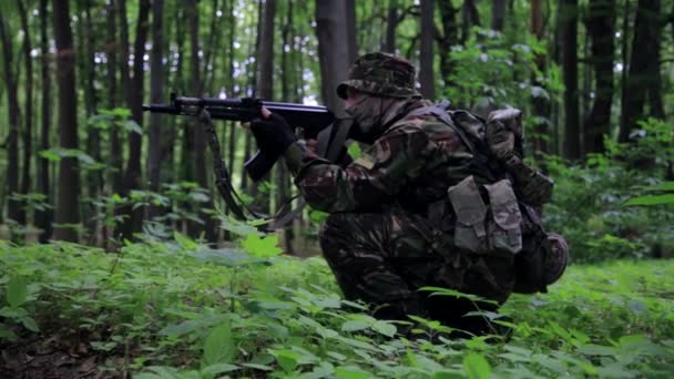 Партизанский партизан, направленный в лесную засаду с пистолетом. . — стоковое видео