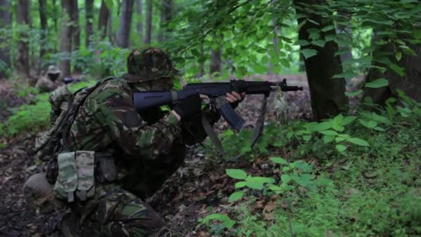 Guerrero partisano guerrillero apuntando en una emboscada forestal llevando su arma . — Vídeos de Stock