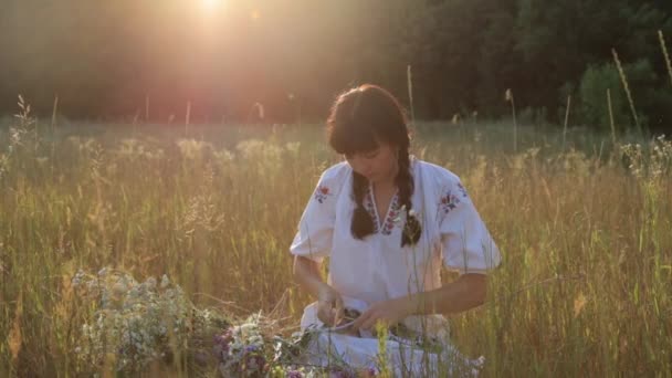 Flicka gör blomma diadem i ängen vid solnedgången i naturen — Stockvideo