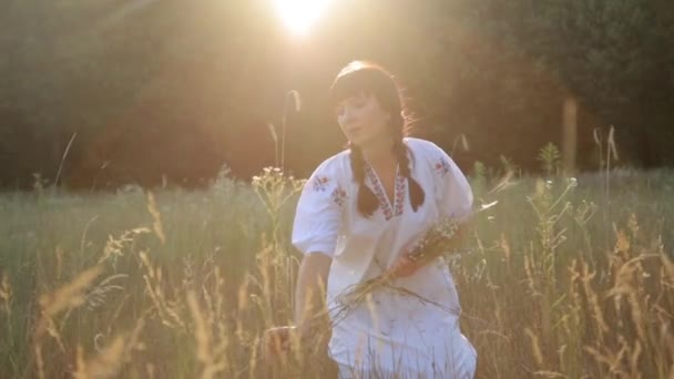 Dívce sběr květin, aby se kroužek při západu slunce v letní louku přírody — Stock video