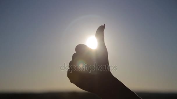 Silhouette einer Frauenhand mit erhobenem Daumen, Zeichensymbol mit Sonnenuntergang und Weizenfeld. — Stockvideo
