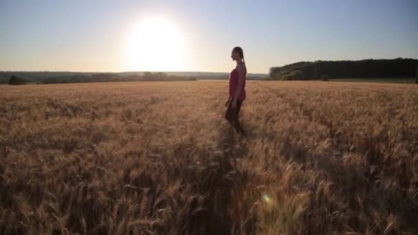 Femme faisant du yoga exerçant un mode de vie sain fitness extérieur . — Video