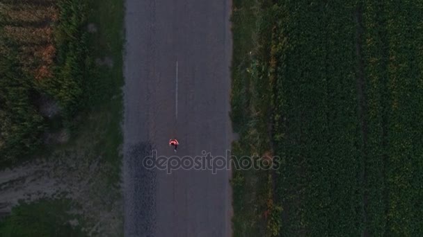 Mujer deportista corriendo una carretera cerca del campo al atardecer . — Vídeos de Stock
