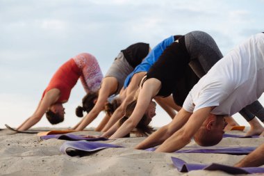 Karışık yarış grup egzersiz yoga sağlıklı yaşam fitness savaşçı pozlar insan