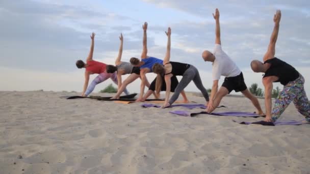 Smíšené rasy skupina lidí vykonávajících bojovník zdravého životního stylu fitness jóga — Stock video