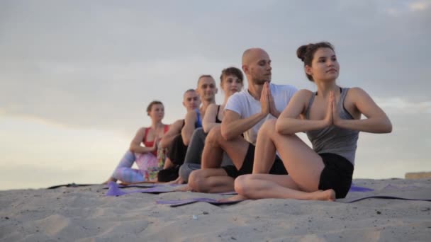 Mixed race group of people exercising yoga healthy lifestyle fitness warrior poses — Stock Video