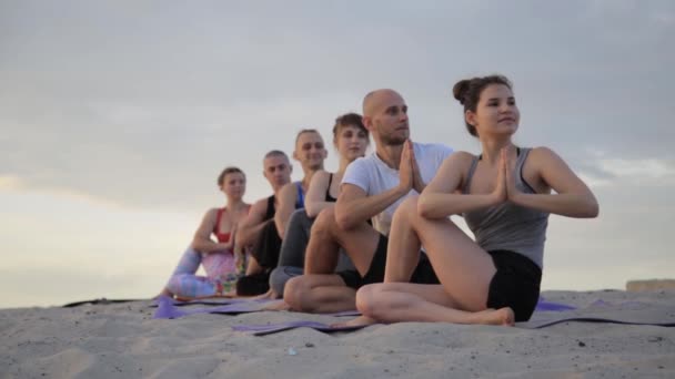 Mixed race group of people exercising yoga healthy lifestyle fitness warrior poses — Stock Video