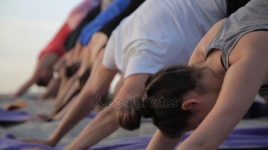Karışık yarış grup egzersiz yoga sağlıklı yaşam fitness savaşçı pozlar insan