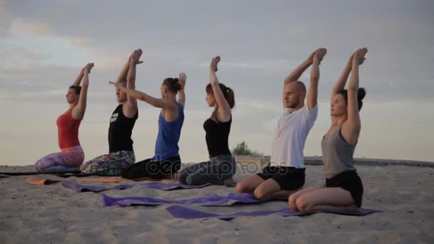 Mixte groupe de personnes faisant de l'exercice yoga mode de vie sain posture guerrière de fitness — Video
