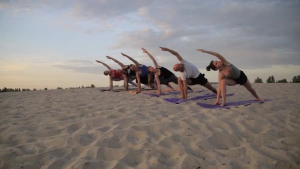 Gemischte Rasse Gruppe von Menschen, die Yoga ausüben gesunder Lebensstil Fitness Krieger posiert — Stockvideo