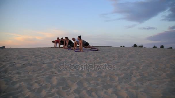 Mixed race group of people exercising yoga healthy lifestyle fitness warrior poses — Stock Video