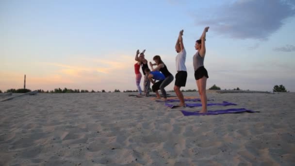 Grupo mixto de personas que practican yoga estilo de vida saludable fitness warrior poses — Vídeos de Stock