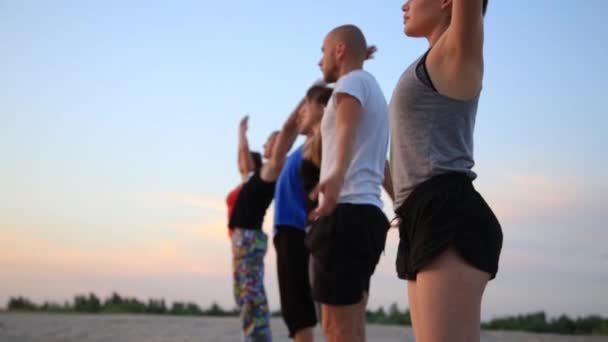 Blandad ras grupp människor utövar yogaställningarna hälsosam livsstil fitness krigare — Stockvideo